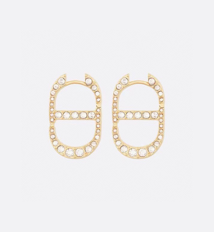 Christian Dior Earrings